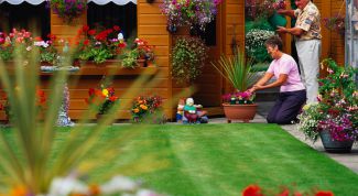 Картинка по теме - как обустроить садовый участок