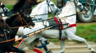 Картинка по теме - как зарабатывать на тотализаторе