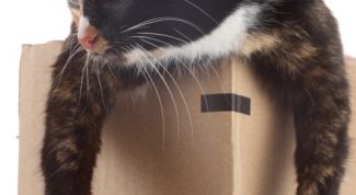 Картинка по теме - как переезжать в новый дом