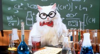 Картинка по теме - как провести экзамен