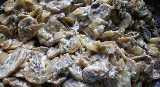 Картинка по теме - как приготовить шампиньоны со сметаной