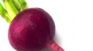 Картинка по теме - как готовить блюда из свеклы