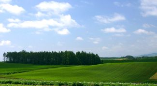 Картинка по теме - как приобрести землю в собственность