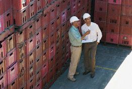 Картинка по теме - как оформить экспорт