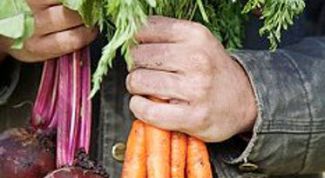 Картинка по теме - как очистить сосуды головного мозга