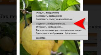 Картинка по теме - как скопировать картинки из интернета
