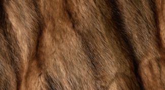 Картинка по теме - как отличить китайскую шубу