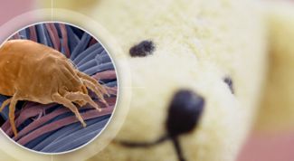 Картинка по теме - как избавиться от пылевого клеща