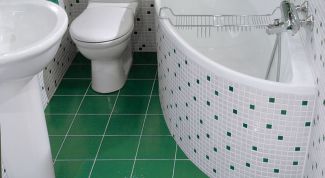 Картинка по теме - как избавиться от мокрицы в ванной