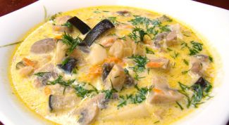 Картинка по теме - как приготовить суп из опят
