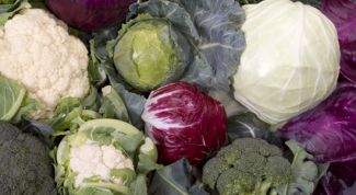 Картинка по теме - как отварить капусту