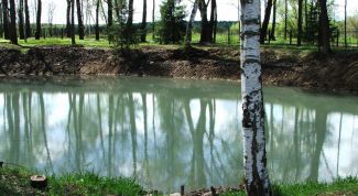 Картинка по теме - как построить пруд для разведения рыб