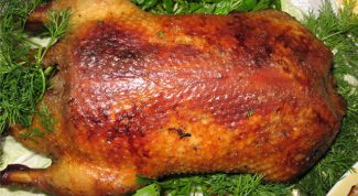 Картинка по теме - как приготовить утку