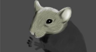 Картинка по теме - как нарисовать мышонка