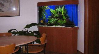 Картинка по теме - как привлечь удачу в свой дом