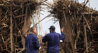 Картинка по теме - как определить норму выработки