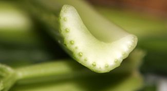 Картинка по теме - как приготовить суп из сельдерея