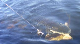 Картинка по теме - как делать блесну