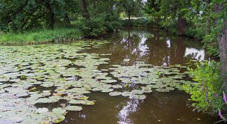 Картинка по теме - как определить уровень грунтовых вод