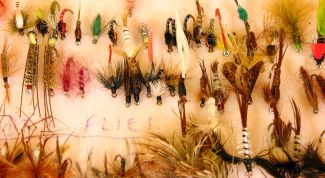 Картинка по теме - как ловить зимой на блесну