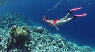 Картинка по теме - как научиться плавать под водой