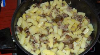 Картинка по теме - как приготовить опята с картошкой