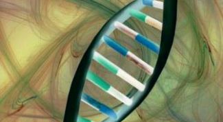 Картинка по теме - как решать генетические задачи по биологии