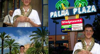 Картинка по теме - как изменить задний фон в фотографии