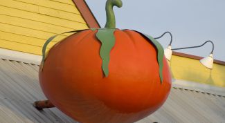 Картинка по теме - как нарисовать рекламу