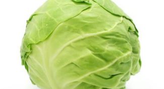 Картинка по теме - как приготовить салат с капустой