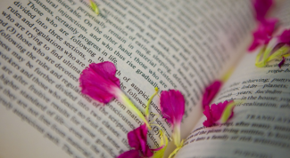 Картинка по теме - как определить основную мысль текста