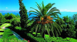 Картинка по теме - как отдохнуть в греции