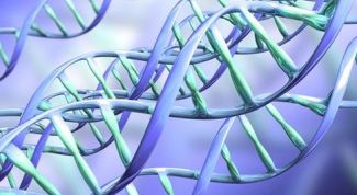 Картинка по теме - как решить генетическую задачу