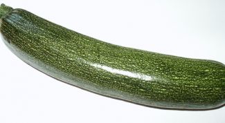 Картинка по теме - как готовить кабачки тушеные