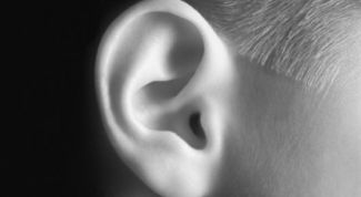 Картинка по теме - как избавиться от лопоухости без операции
