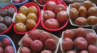 Картинка по теме - как получать высокие урожаи картофеля