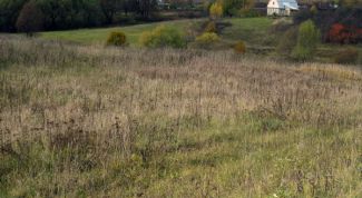 Картинка по теме - как оформить земельный участок под строительство