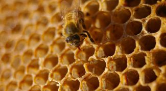 Картинка по теме - как приготовить раствор прополиса