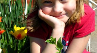 Картинка по теме - как отпраздновать детский день