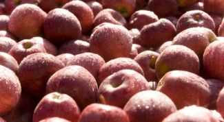 Картинка по теме - как приготовить яблочный уксус в домашних условиях