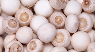 Картинка по теме - как готовить жульен