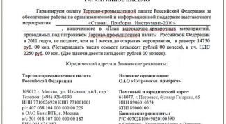 Картинка по теме - как написать гарантийное письмо на оплату