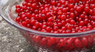 Картинка по теме - как приготовить красную смородину