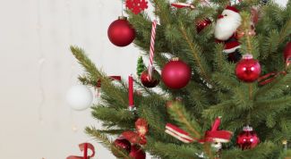 Картинка по теме - как продлить жизнь новогодней елке