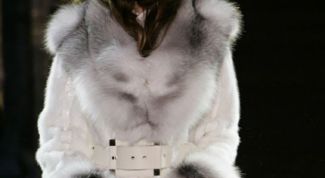 Картинка по теме - как носить меха