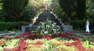 Картинка по теме - как отдохнуть в сочи