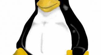 Картинка по теме - как русифицировать linux