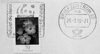 Картинка по теме - как отправить письмо в германию