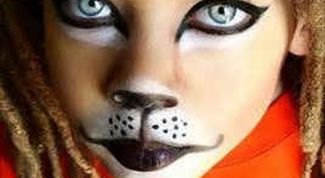 Картинка по теме - как нарисовать кота на лице