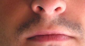 Картинка по теме - как определить по чертам лица характер